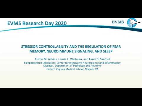 Thumbnail image of video presentation for Stressor Controllability and the Regulation of Fear Memory, Neuroimmune Signaling, and Sleep