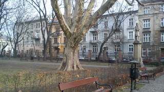 PARK STRZELECKI -KRAKOW