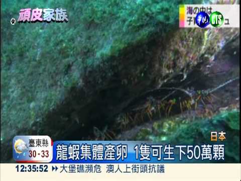 大海"生"意興隆! 魚蝦忙著產卵