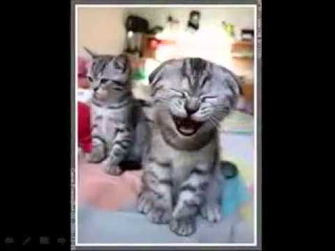 4 de novembro de 2014 20h38