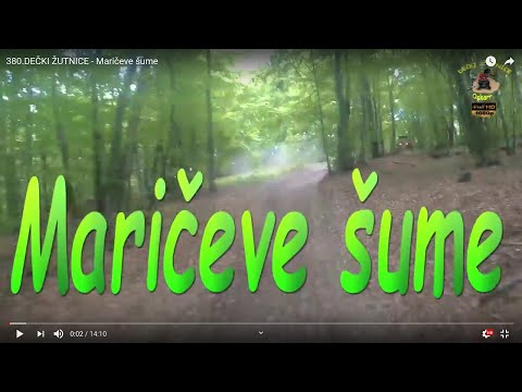 380.DEČKI ŽUTNICE - Maričeve šume