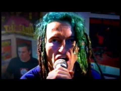 Bucket Bong - Frenzal Rhomb