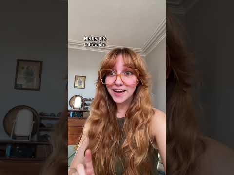 Would you have been happy to receive a trilobite over dino bones as a kid? #geologist #fossils