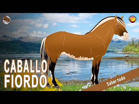 , title : 'CABALLO FIORDO, los caballos considerados un símbolo nacional, RAZAS DE CABALLOS'