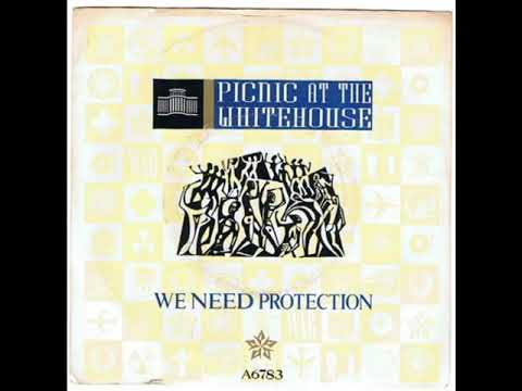We need protection - Picnic at the Whitehouse