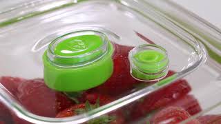FoodSaver® VS1192X Handheld, kabelloser und aufladbarer Vakuumierer
