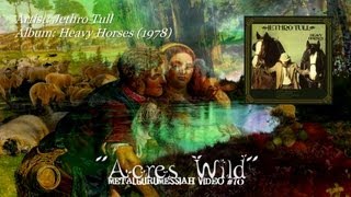 Acres Wild - Jethro Tull (1978) Remaster HD Video