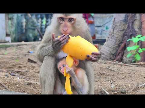 Lora Encourages Lunar: First Steps to Running