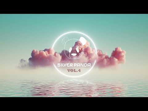 Silver Panda Melodic Sessions - Vol. 4
