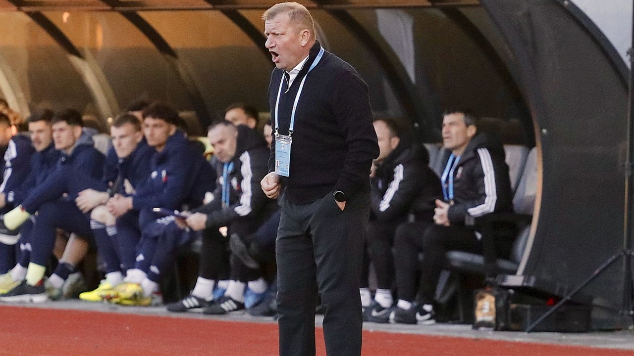 Hermannstadt vs Botoșani Highlights