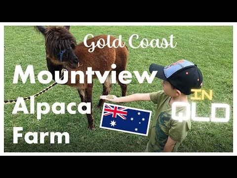 Mountview Alpaca Farm