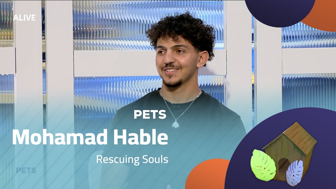 Pets  - 06/11/2025 - Mohamad Hable - Rescuing Souls