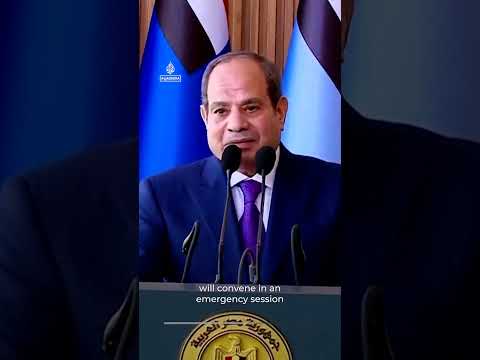 Egypt's el-Sisi vows to defend Saudi Arabia from Houthi attacks