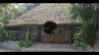 preview picture of video 'Nepal Bharatpur Harta Tiger Tops Jungle Lodge Nepal Hotels Travel Ecotourism Travel To Care'