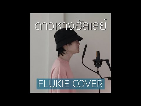 ดาวหางฮัลเลย์ - fellow fellow // FLUKIE COVER