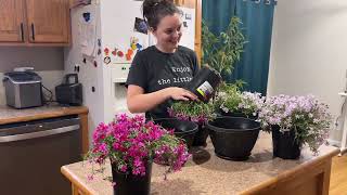 The 4 Pack 10 Inch Plant Pots Review You’ve Been Waiting For — Full Walkthrough X8700