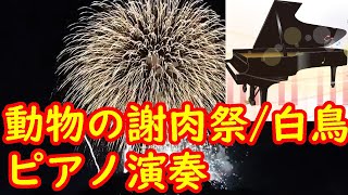 Download lagu カミーユ・サン=サーンス「動物の謝肉祭・白鳥」ピアノ演奏　ー　Charles Camille Saint-Saëns「Le carnaval des animaux・Le cygne」 mp3