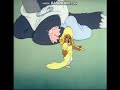 Tom And Jerry While Strolling Through The Park