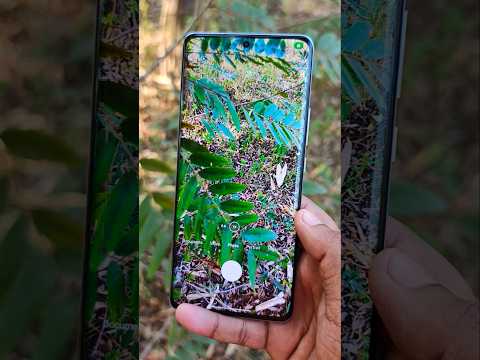 Xiaomi 12 Pro camera test: * Xiaomi 12 Pro Detailed Camera Real 50MP Camera Setup Tested #shorts