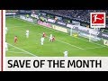 Vote For The Best Save of the Month - Neuer, Sommer, Gulacsi & More