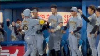 おめでとう！嶋村 麟士朗のプロ初ホームランで盛り上がる阪神ベンチ