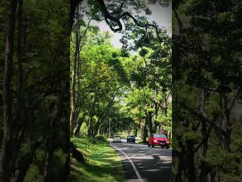 Beautiful Nature🛣️#Viralshorts#nature#travel#Noofaspeace