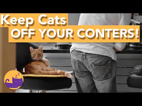 YouTube video about: How to keep cats off stove?