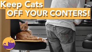 Keep Your Cat OFF Kitchen Surfaces - BEST Ways to Keep Cats off Counters!