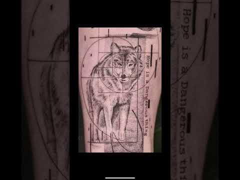 ⚡️Autoral é meu Pau⚡️