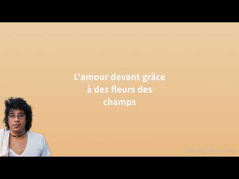 Laurent Voulzy - Le pouvoir des fleurs (Paroles)