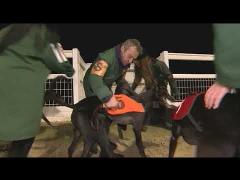 2017 TV TROPHY FINAL - GOLDIES HOTSPUR