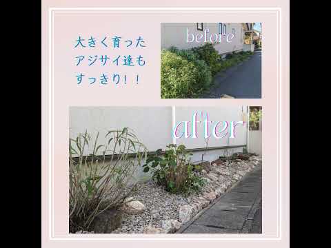 この冬、あなたのエクステリアを明るくするのに、ほとんど何も必要とせず、非常に素朴なコンテナプラント 6 つをご紹介します。  庭園