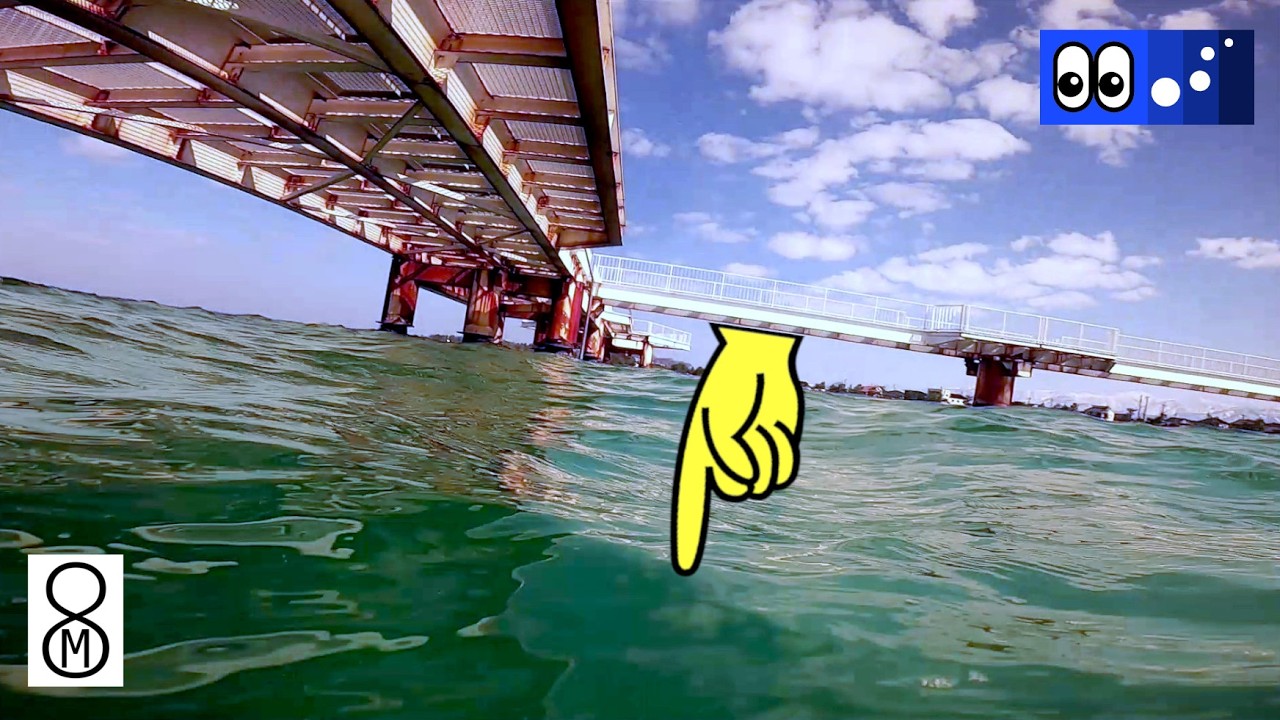 【水辺潜入】冬の釣り桟橋、足元直下に何がいるのか…？