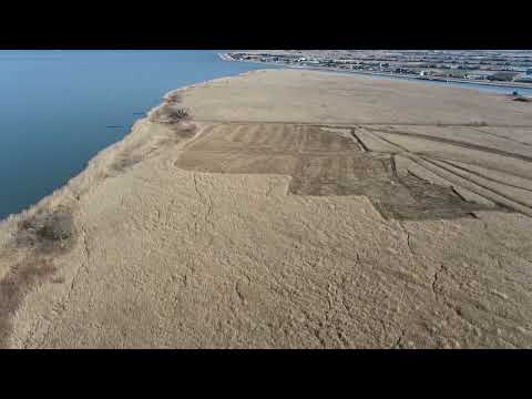 【茨城県稲敷市】妙岐ノ鼻 Huge wetlands in Ibaraki, Japan