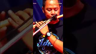 Download lagu SEUJUNG KUKU - ALL ARTIS ADELLA - OM ADELLA mp3 Download lagu SEUJUNG KUKU - ALL ARTIS ADELLA - OM ADELLA mp3