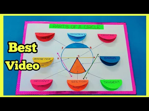 #Parts of a Circle working model #circle model #maths project #mathsTLM#parts of a Circle model 👍