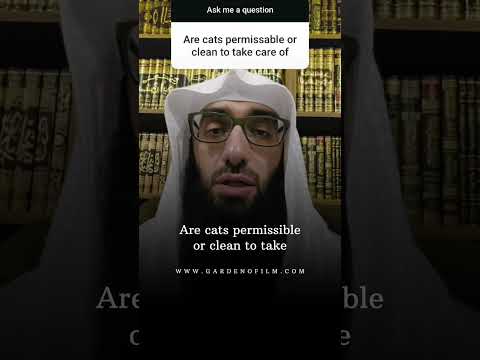Are cats halal to take care of and clean? || Ustadh AbdulAziz Al-Haqqan حفظه الله