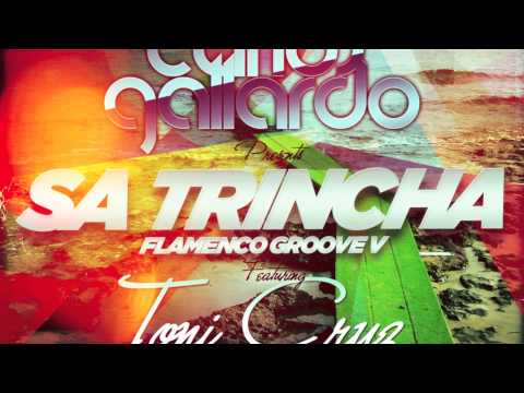 Carlos Gallardo feat Toni Cruz presents Flamenco Groove V - Sa Trincha (Preview)