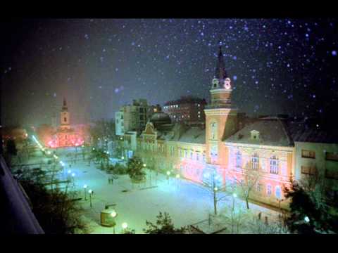 Aleksandar Aca Karadžin - Što tiho pada sneg - Izvođač Ljubiša Krnić i Banatski melem