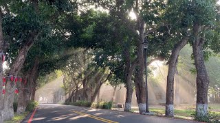 [分享] 虎尾．五分車運行的眷村時光