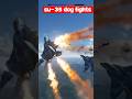 Russian Su 35s Engage In Forest Dogfights