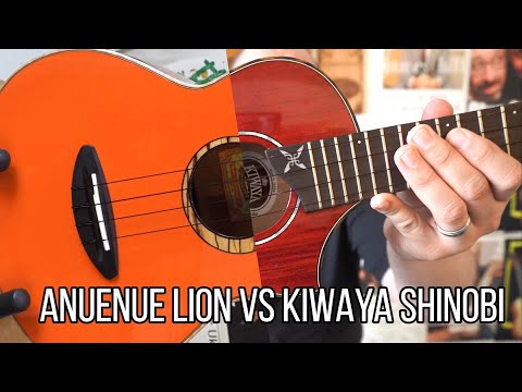 BOLD AND BEAUTIFUL - Kiwaya Shinobi Tenor & AnueNue LION