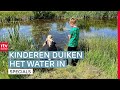 Wat leeft er allemaal in de sloot? 'Elke sloot heeft zijn eigen ecosysteem' | Spetterend Drenthe (3)
