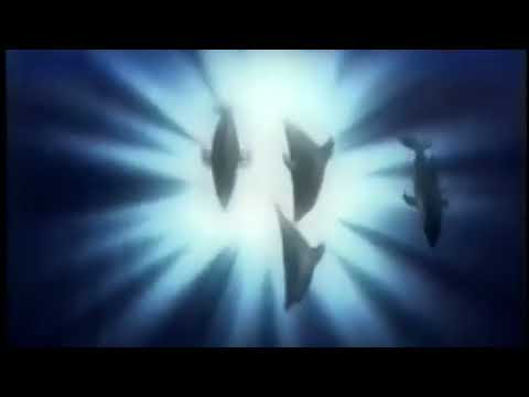 Dolphins Mind   The Flow Official Video 1997 Full HD 1080p, FHD
