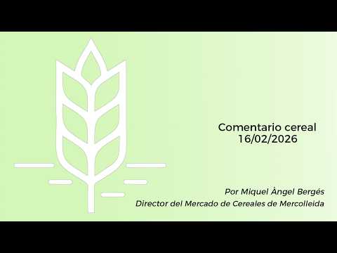 Comentario cereal - 16/02/2026
