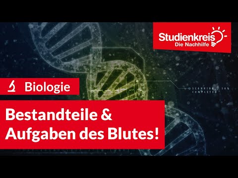 Bestandteile & Aufgaben des Blutes! | Biologie verstehen mit dem Studienkreis