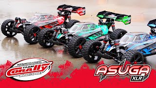 ASUGA XLR 6S - BUGGY 4WD - PRO ROLLER šasi - bez elektroniky - modrá