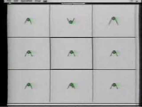 Dawkins: Lecture 2. Design and Designoid Objects (4 of 6)