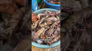 Seafood Shopping In Makoko Market #pulseshorts #pulseviral #pulsepicks