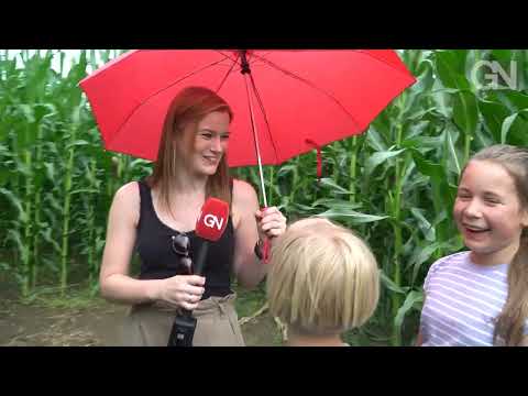 Pfade finden im Mais-Irrgarten